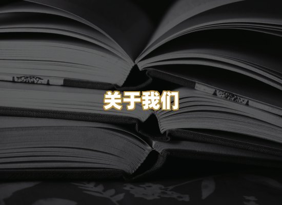 关于我们